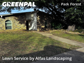 Lawn Servicein Plano,75023,Lawn Maintenance by Alfas Landscaping, work completed in Jan , 2026