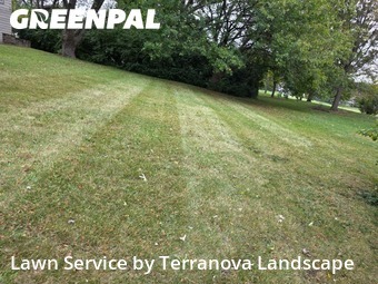 Grass Services in Glen Ellyn, 60137, Weed Trimming by Terranova Landscape, work completed in Oct , 2025
