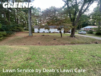 Lawn Mowing Service nearby Browns Summit, NC, 