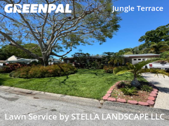 Yard Cutting nearby St Petersburg , FL, 