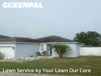 Yard Cutting nearby Groveland, FL, 