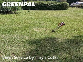 Lawn Mowing nearby Valdosta, GA, 