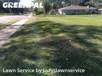 Lawn Cut nearby Papillion, NE, 