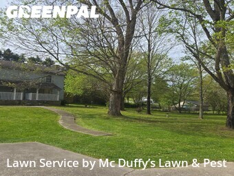 Lawn Cut nearby Kodak, TN, 