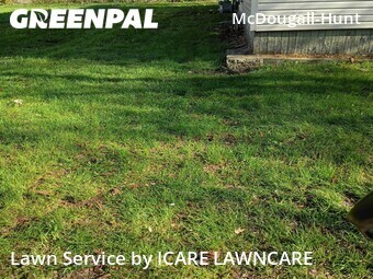Lawn Mow nearby Detroit, MI, 