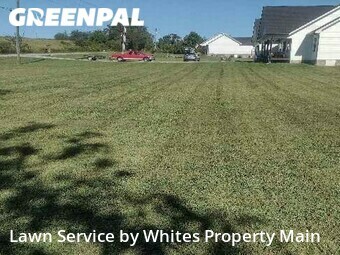 Lawn Mowing Service nearby Greenback, TN, 