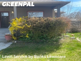 Yard Cutting nearby Nampa, ID, 