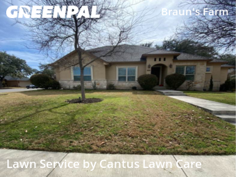 Lawn mowed in San Antonio, 78254