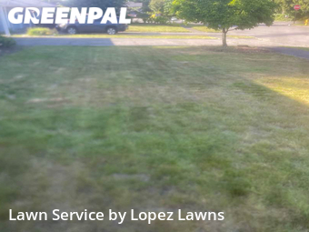 Yard Cutting nearby Renton, WA, 