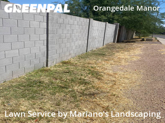 Grass Cutting nearby Phoenix, AZ, 