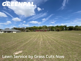 Grass Cutting nearby Hernando, FL, 