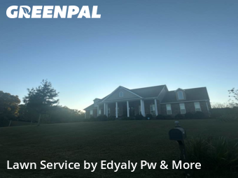 Weed Trimming in Lynchburg, 37352, Mowing Services by Edyaly Pw & More, work completed in Nov , 2025