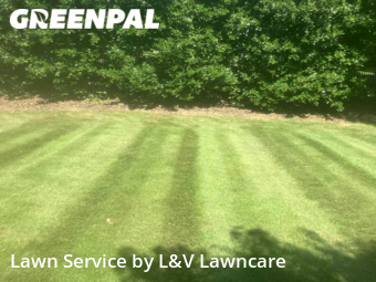 Lawn Care nearby Indian Land, NC, 