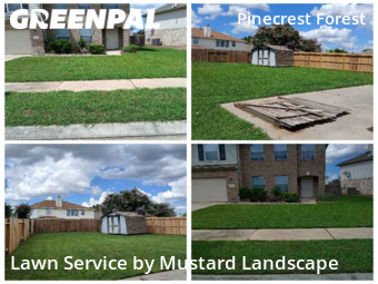 Lawn Cut nearby Tomball, TX, 