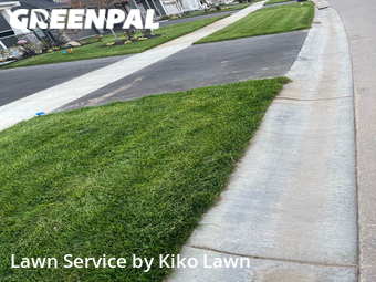 Grass Cut nearby Woodbury, MN, 