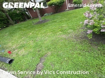 Lawn Cut nearby Joliet, IL, 