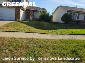 Lawn Work in Woodridge, 60517, Grass Services by Terranova Landscape, work completed in Nov , 2025