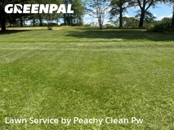 Grass Cutting nearby Carrollton, GA, 