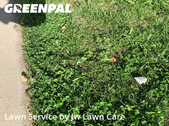 Lawn Maintenance nearby Castle Rock, CO, 