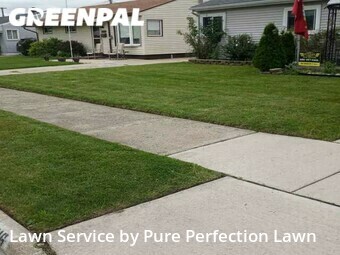 Weed Trimming in Wyandotte, 48192, Yard Cutting by Pure Perfection Lawn, work completed in Nov , 2025