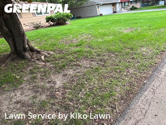 Lawn Care Service nearby Eden Prairie, MN, 
