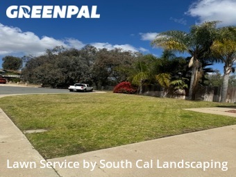 Grass Cut nearby Spring Valley, CA, 