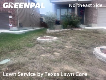 Lawn Carein Converse,78109,Lawn Service by Texas Lawn Care, work completed in Dec , 2025
