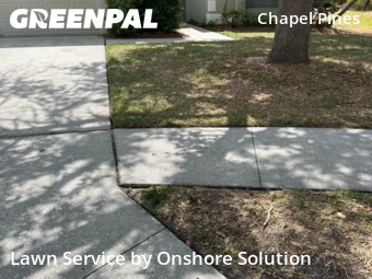 Lawn Care Service nearby Wesley Chapel, FL, 