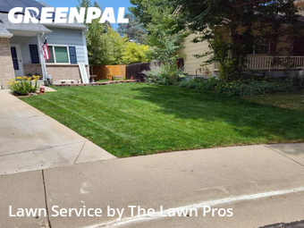 Lawn Mowing Service nearby Thornton, CO, 