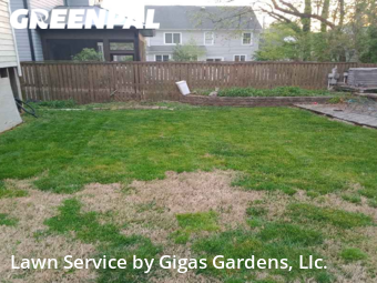 Lawn Mowing Service nearby Falls Church, VA, 