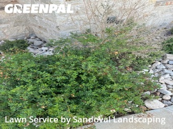 Landscaping Maintenance In Lubbock,79424,Landscaping Installation by Sandoval Landscaping, work completed in Apr , 2026