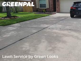 Grass Cut nearby League City, TX, 