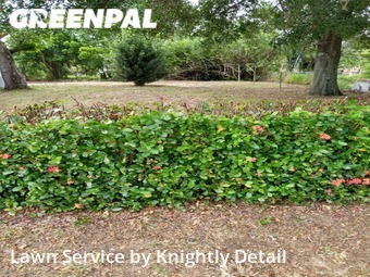 Grass Cut nearby Sebring, FL, 