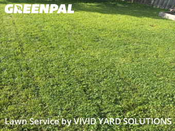 Yard Mowing nearby Clifton Heights, PA, 