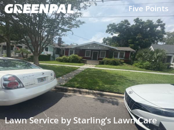 Grass Cutting nearby Jacksonville, FL, 