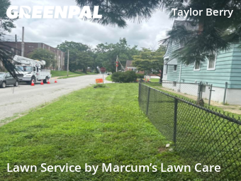 Lawn Mow nearby Louisville, KY, 