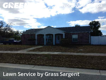 Landscaping In Tampa,33604,Landscape Design by Grass Sargent, work completed in Feb , 2026
