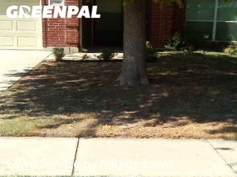 Lawn Mow nearby Fort Worth, TX, 