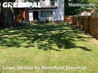Lawn Cut nearby Cincinnati, OH, 