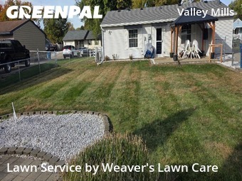 Modern Landscaping In Indianapolis,46221,Landscaping Cleanup by Weaver's Lawn Care , work completed in Nov , 2025