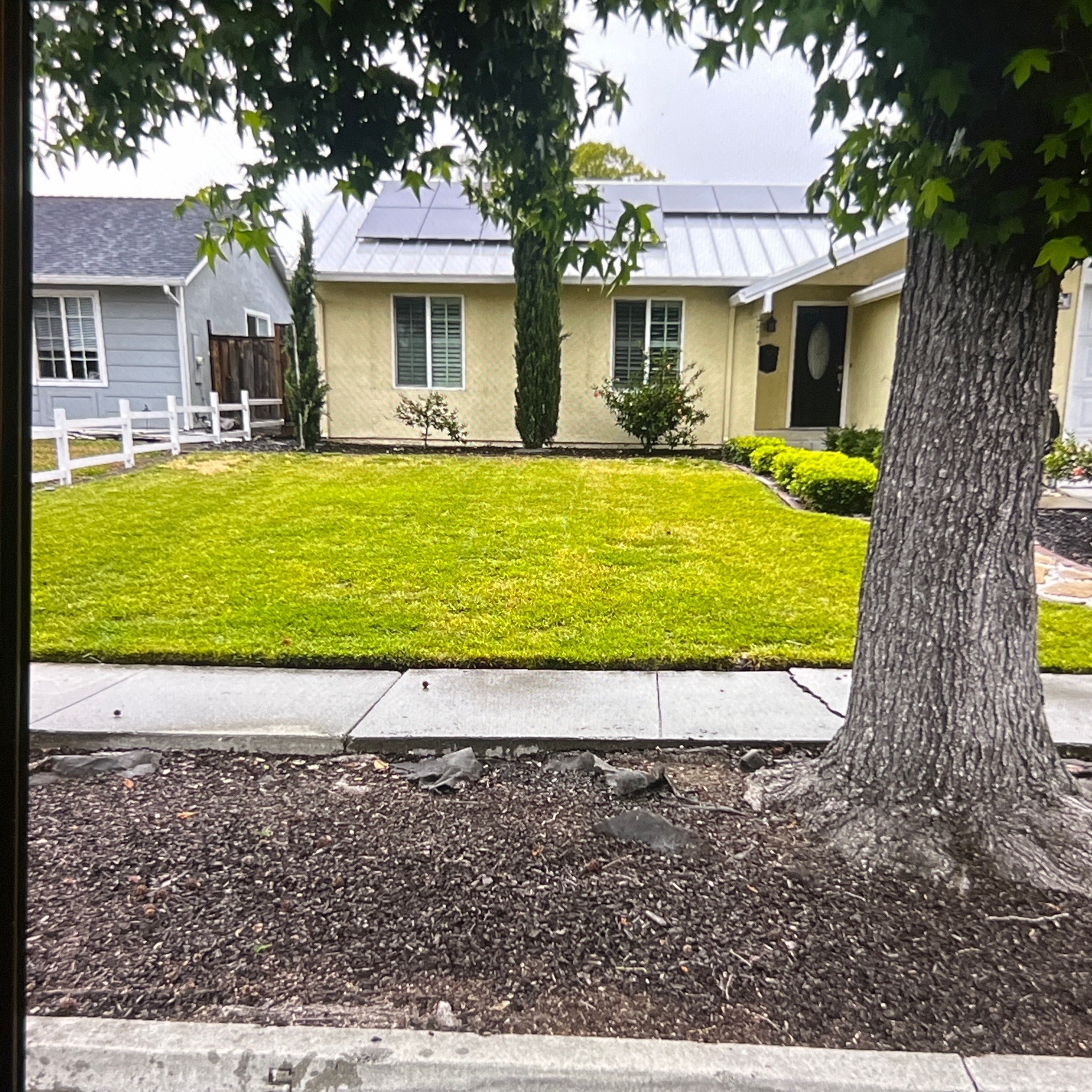 local-lawn-cutting-services-in in Milpitas, CA