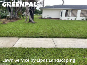 Yard Cutting nearby Fort Myers, FL, 