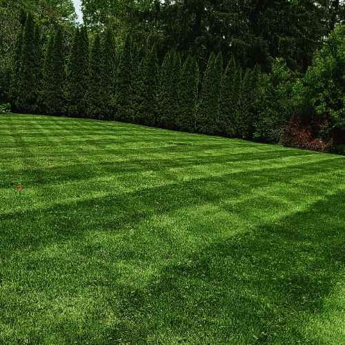 Stepside Landscaping Lawn Care Services in South Hadley, MA