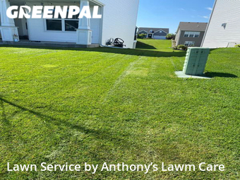 Grass Cut nearby Plymouth, MN, 