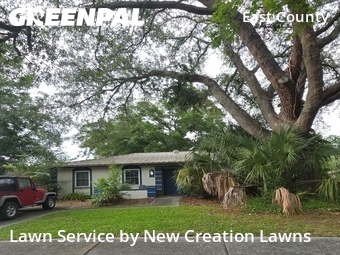 Lawn Cut nearby Valrico, FL, 