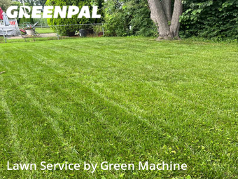 Yard Cutting nearby Southfield, MI, 