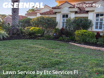 Yard Mowingin Palm Harbor,34685,Lawn Service by Etc Services Fl, work completed in Feb , 2026