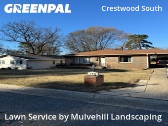Yard Grooming in Birmingham, 35222, Lawn Care by Mulvehill Landscaping, work completed in Dec , 2025