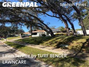 Lawn Mowing Service nearby Dunedin, FL, 