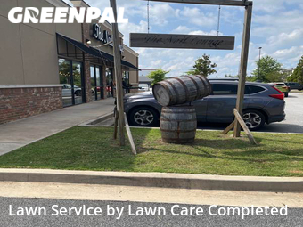 Yard Cutting nearby Mc Donough, GA, 